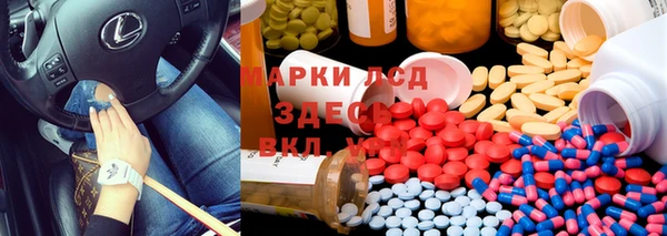 ГАЛЛЮЦИНОГЕННЫЕ ГРИБЫ Алзамай