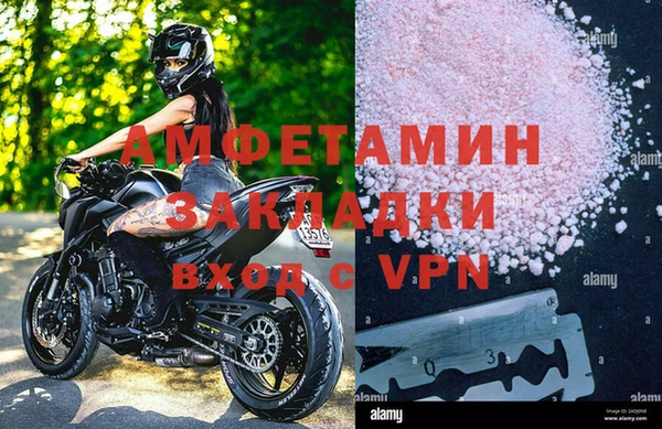 ГАЛЛЮЦИНОГЕННЫЕ ГРИБЫ Алзамай